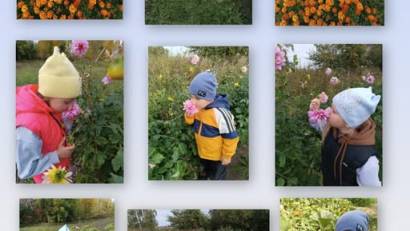 Экскурсия на пришкольный участок "Что нам осень подарила?".